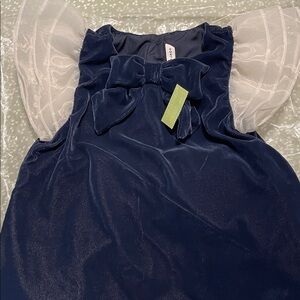 Janie and Jack Velvet Dress with Sheer Sleeves